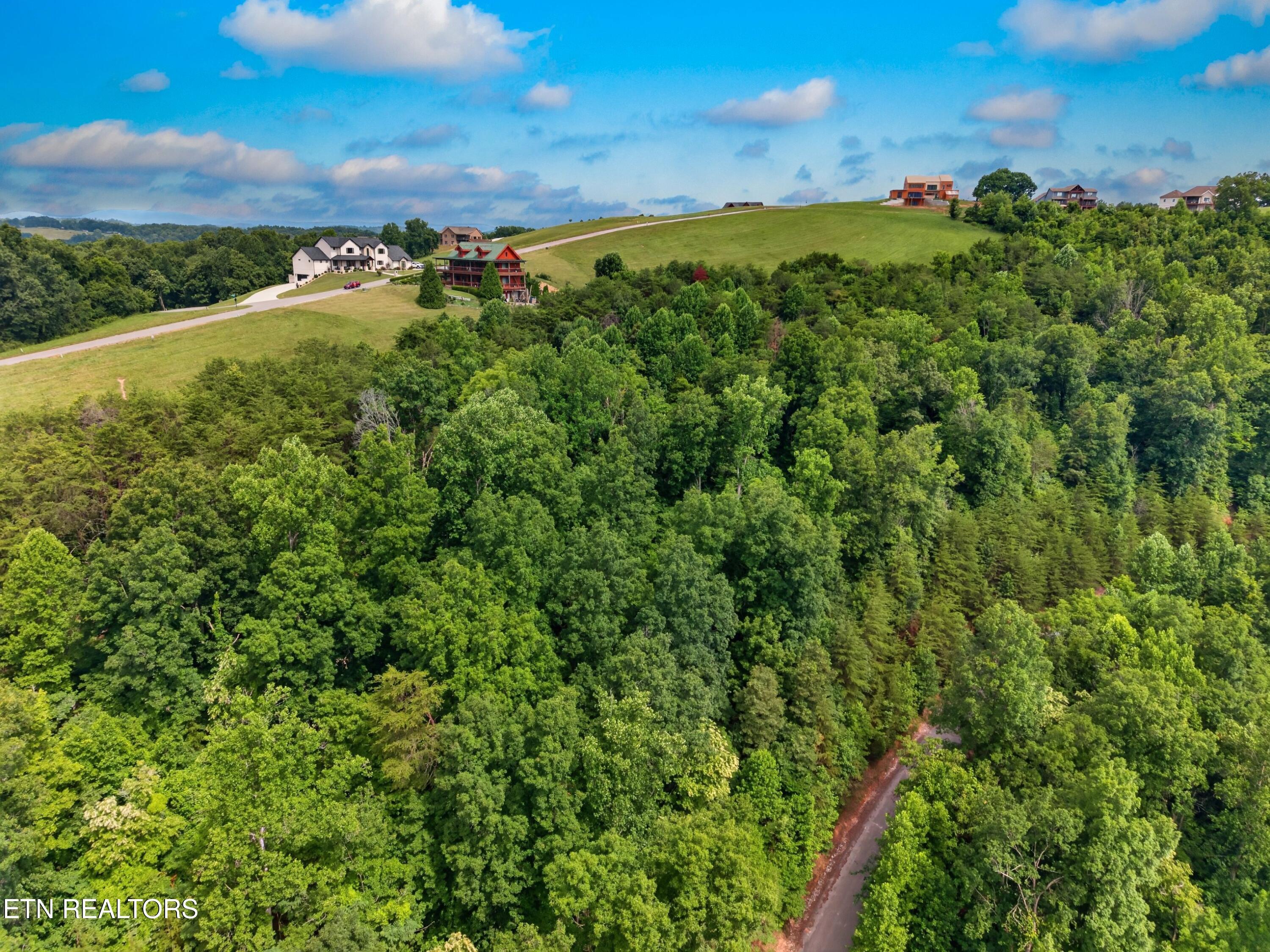 Norris Lake Real Estate - Image# 6