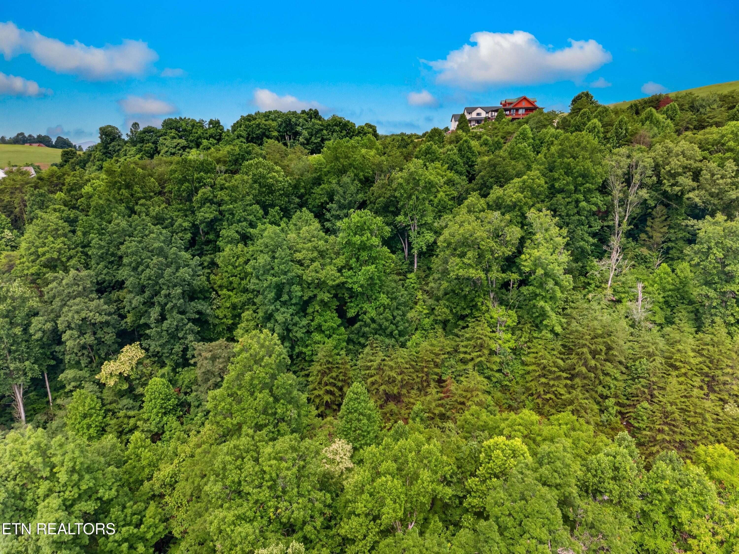 Norris Lake Real Estate - Image# 7