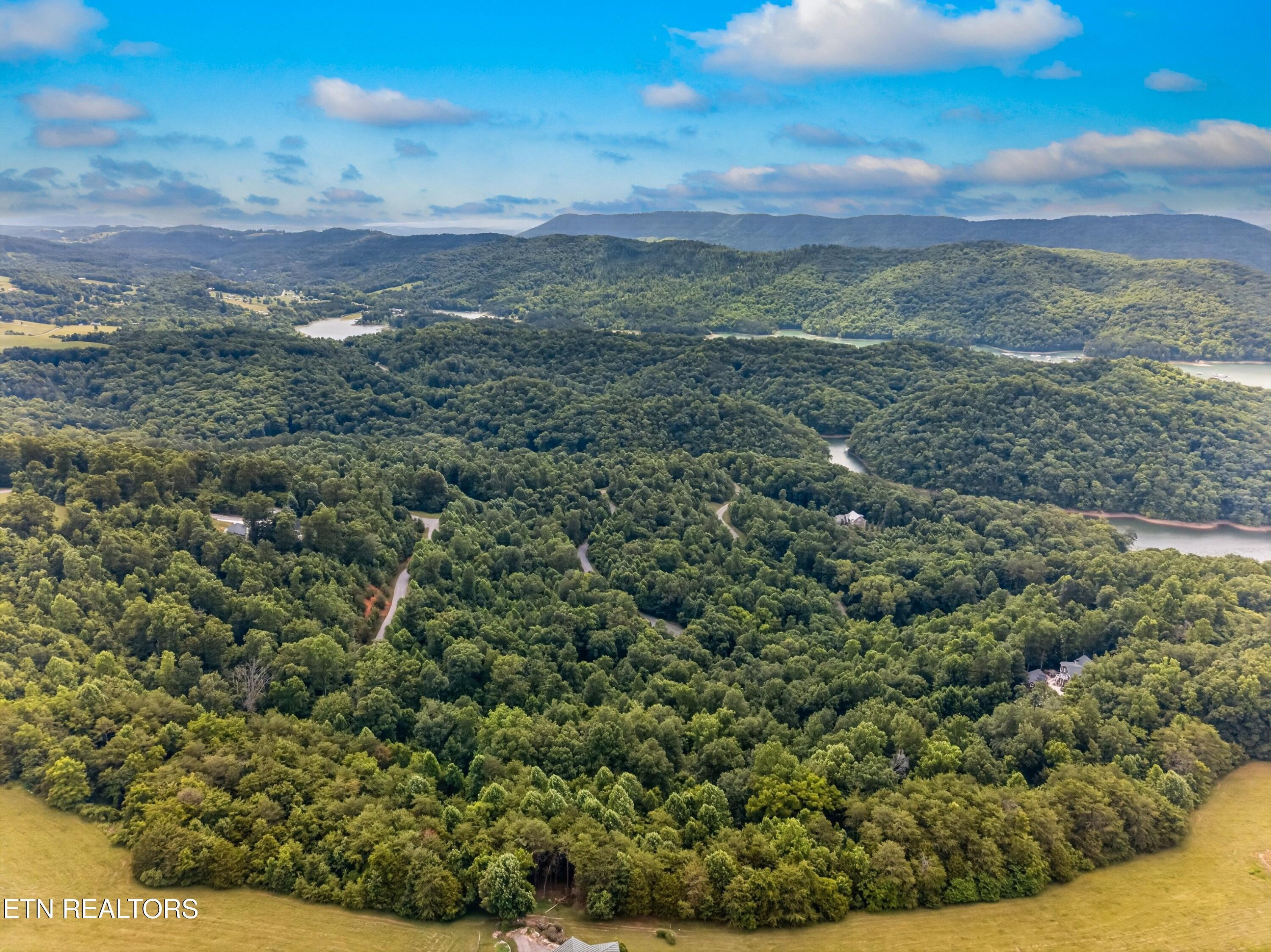 Norris Lake Real Estate - Image# 8