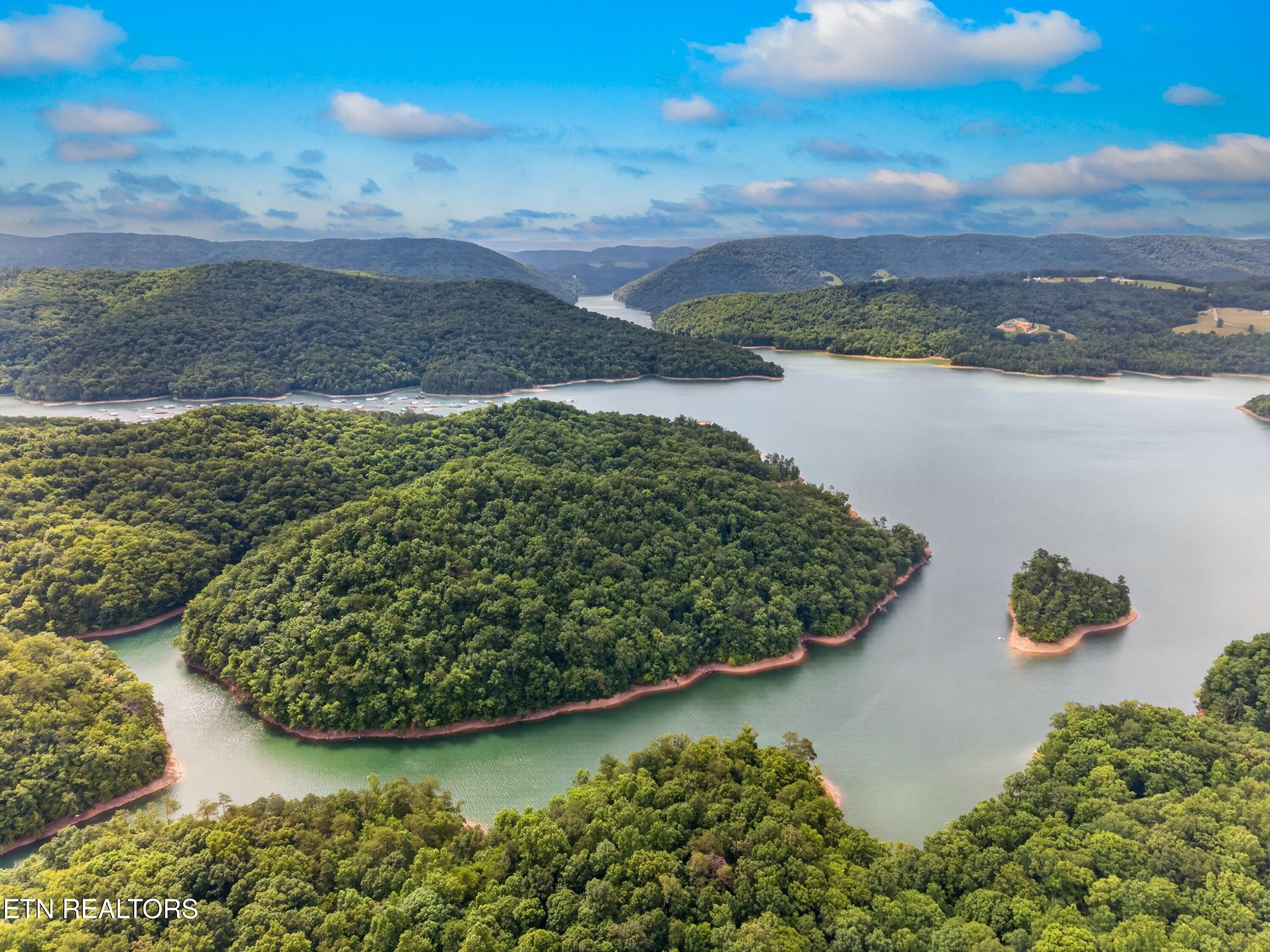 Norris Lake Real Estate - Image# 9
