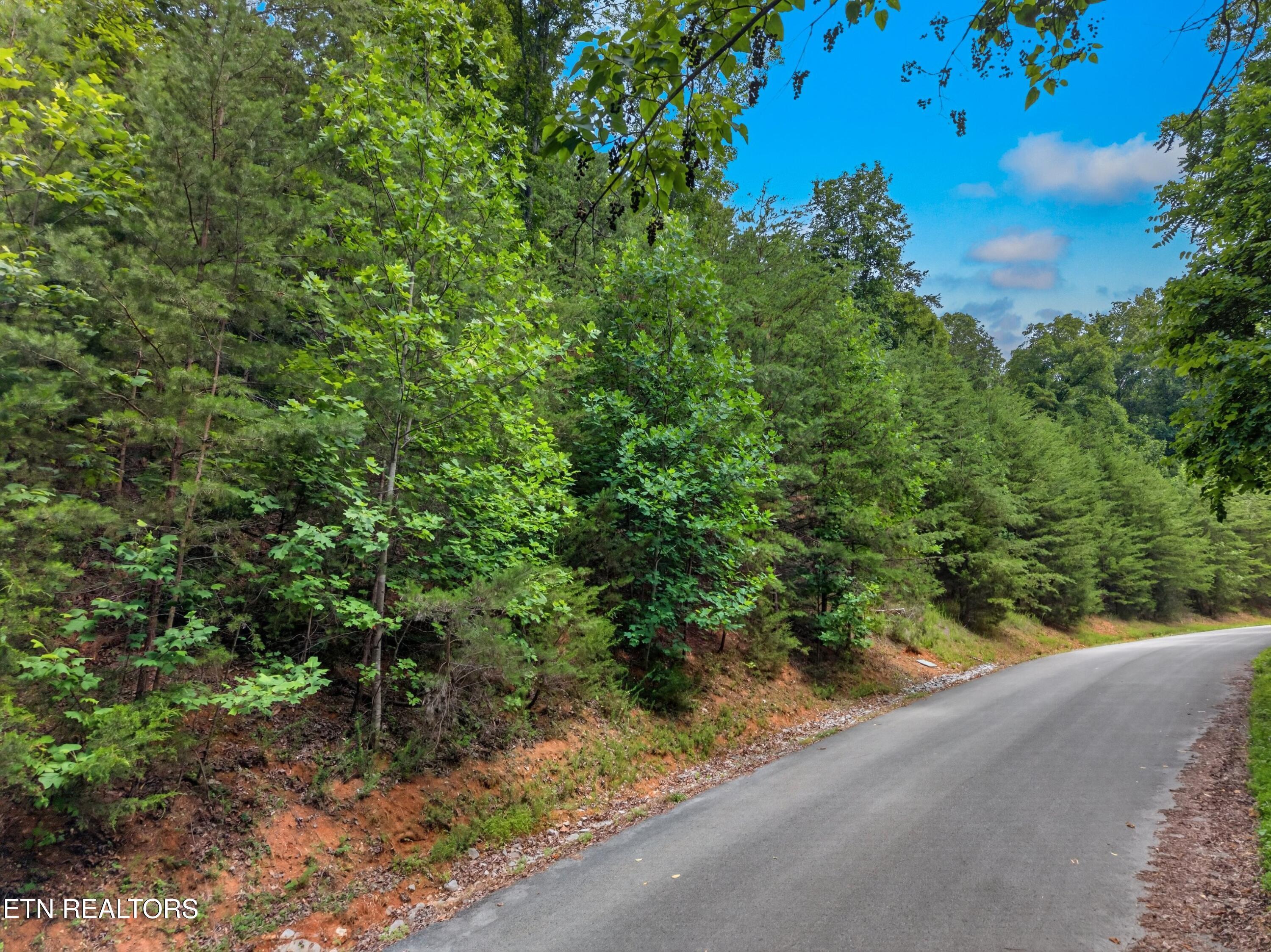 Norris Lake Real Estate - Image# 10