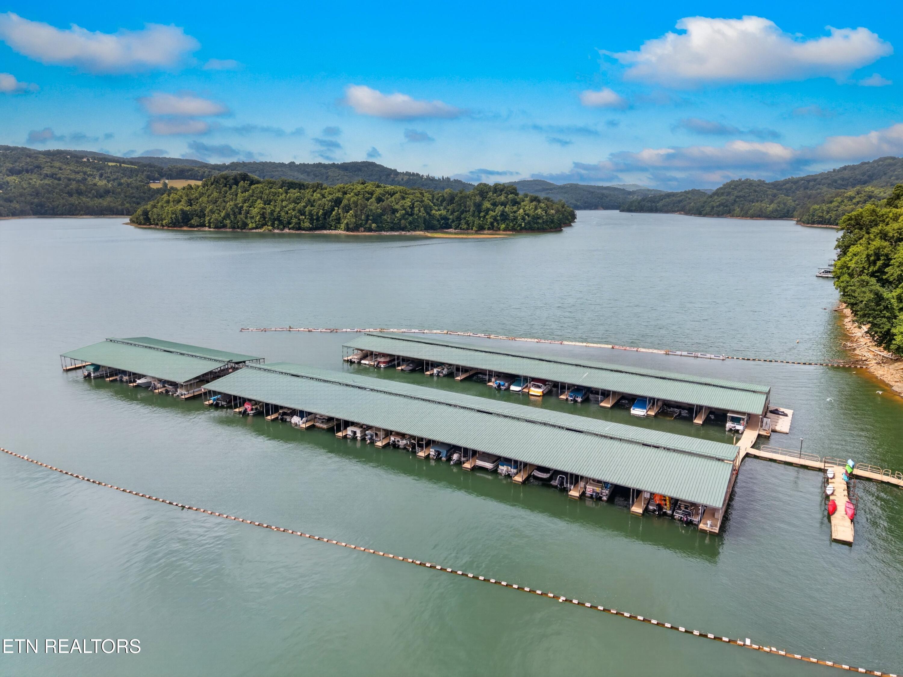 Norris Lake Real Estate - Image# 11