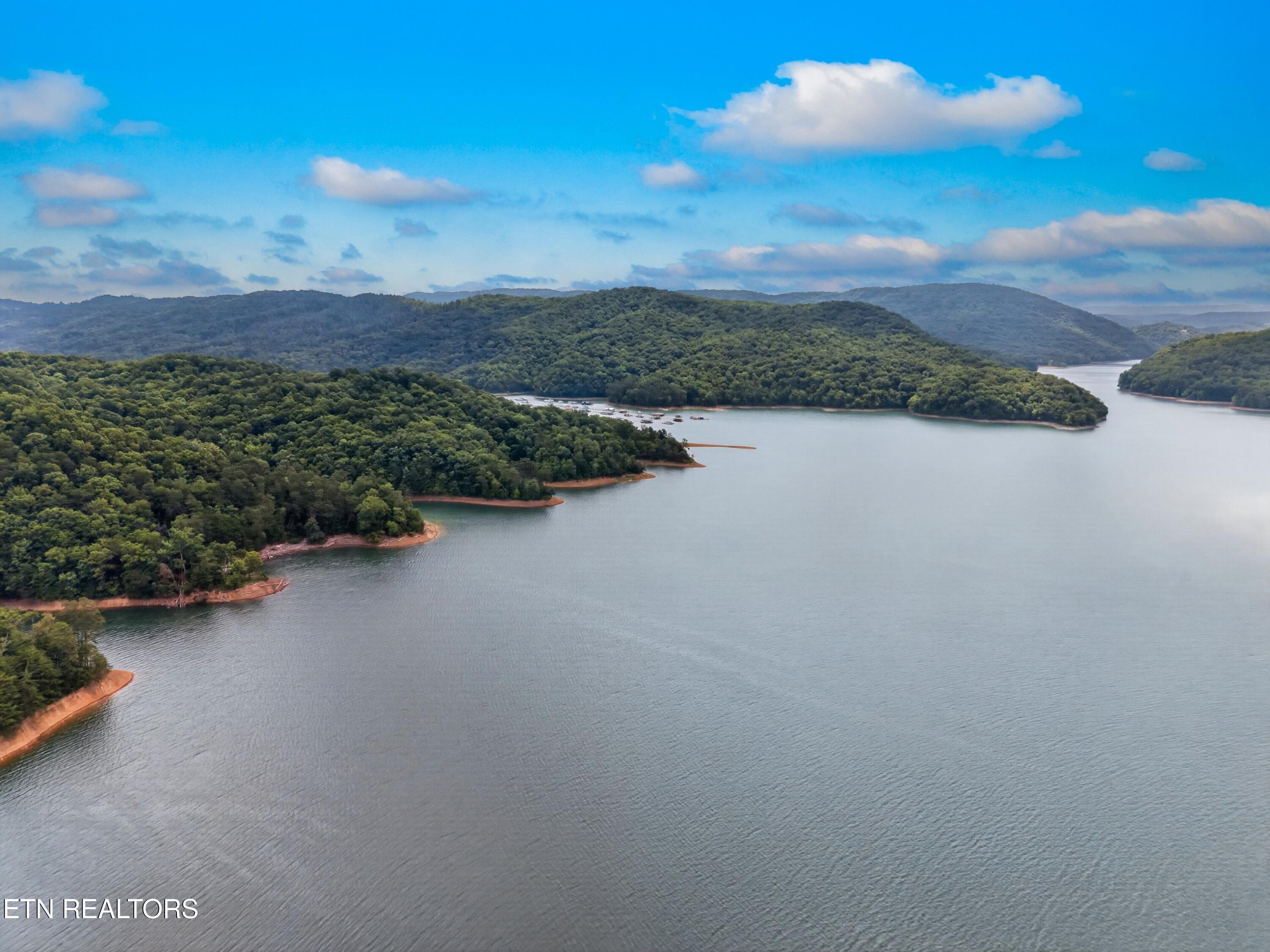 Norris Lake Real Estate - Image# 13