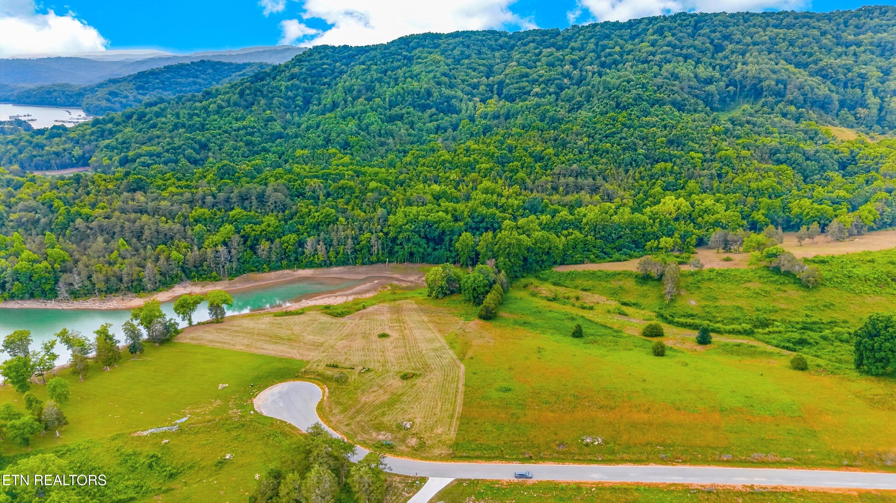 Norris Lake Real Estate - Image# 12