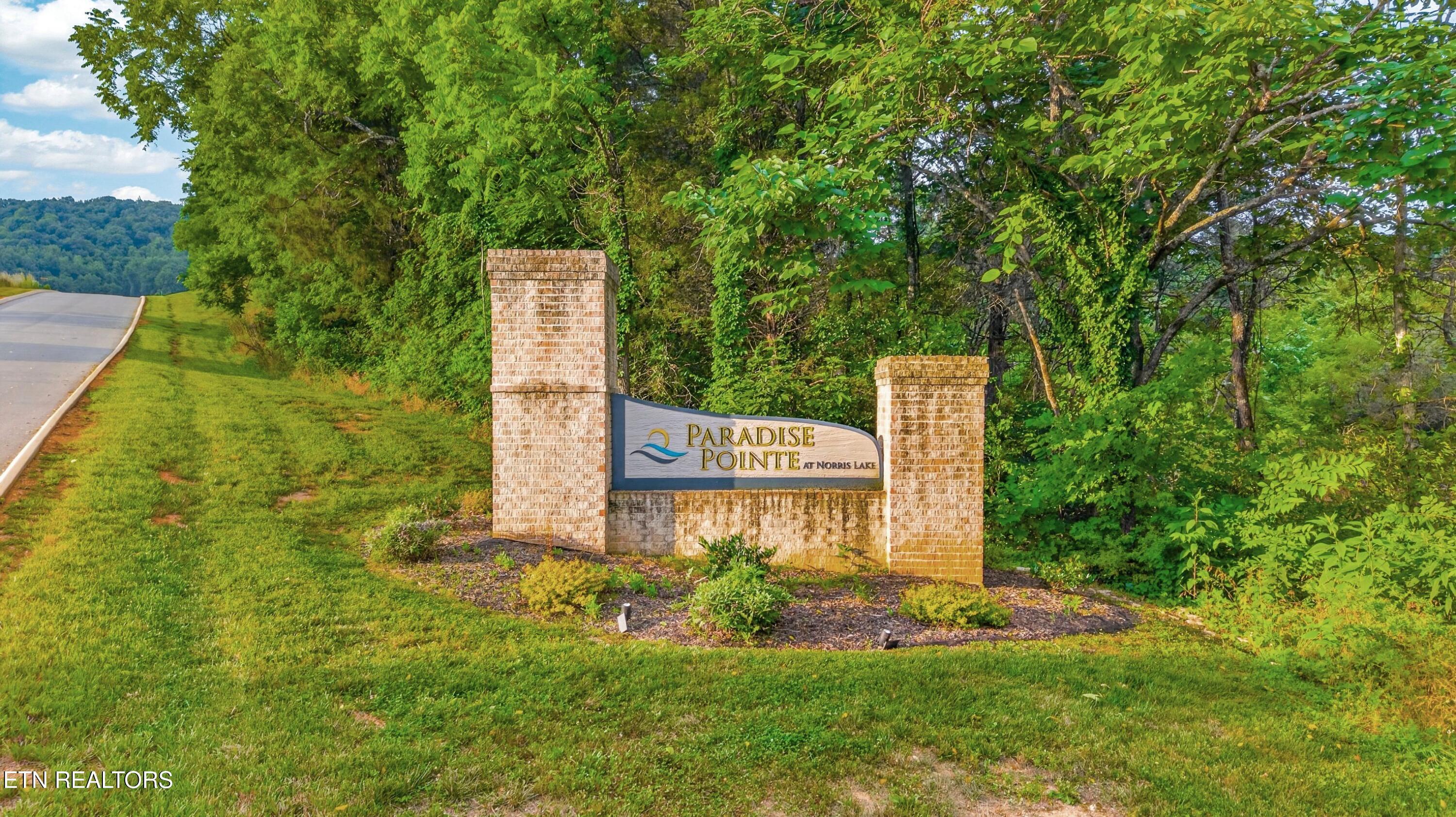 Norris Lake Real Estate - Image# 4