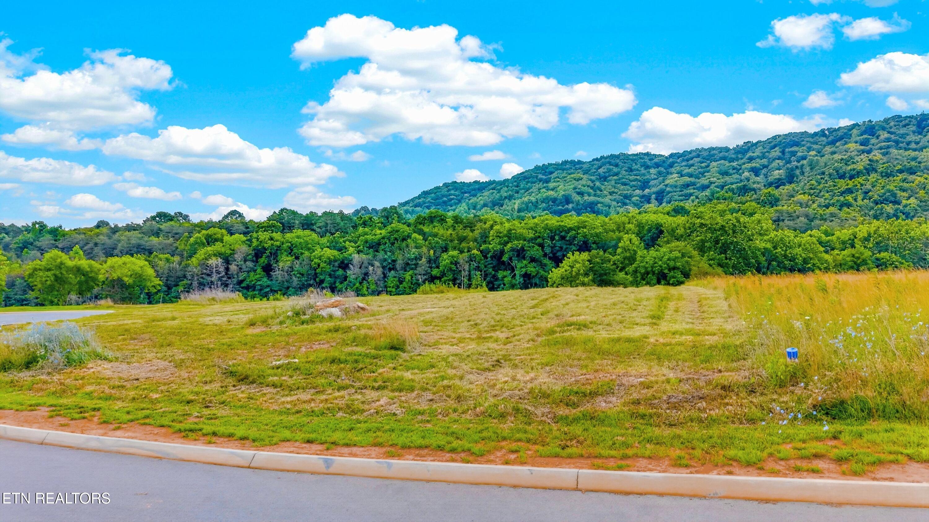 Norris Lake Real Estate - Image# 17
