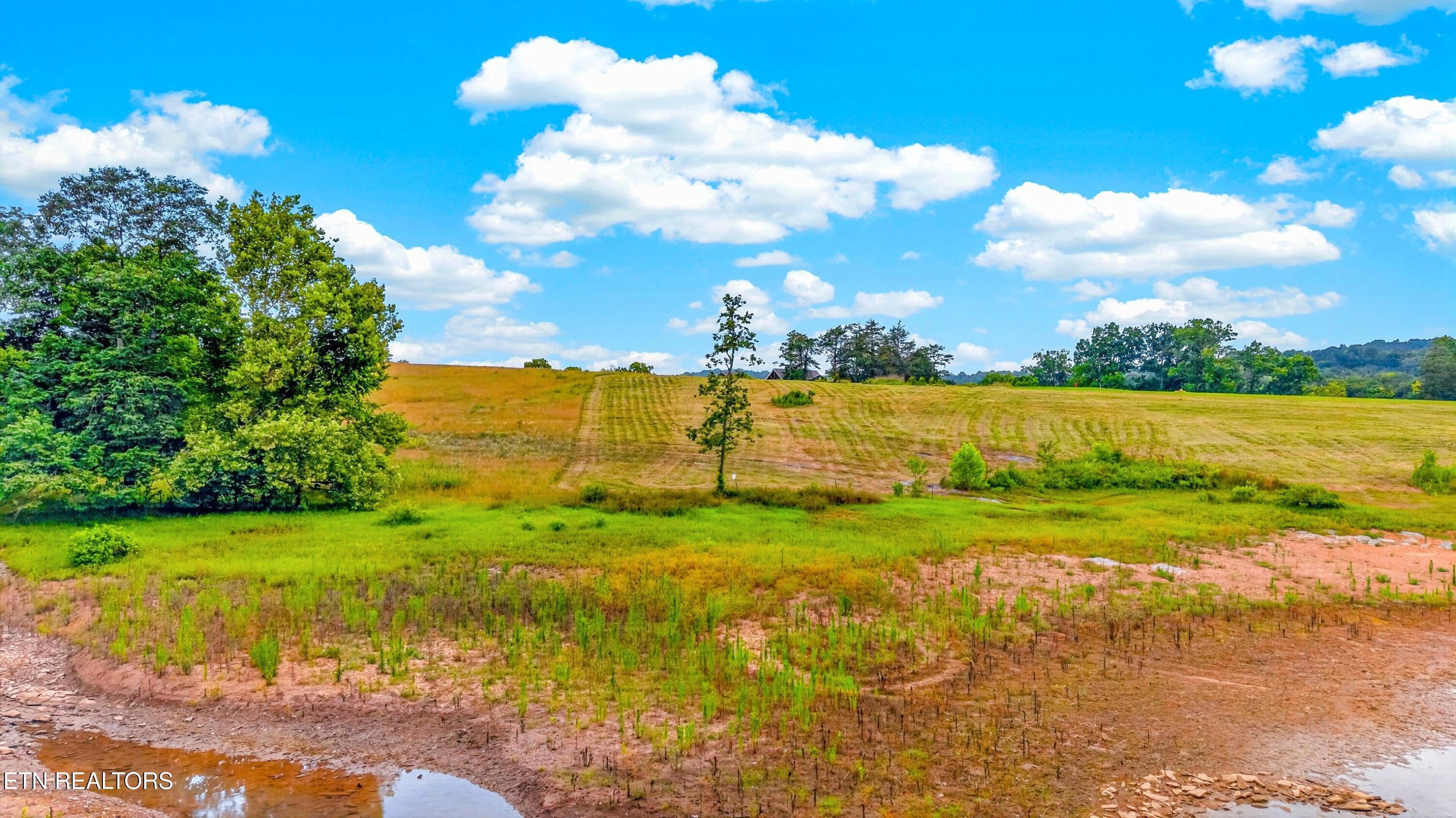 Norris Lake Real Estate - Image# 18
