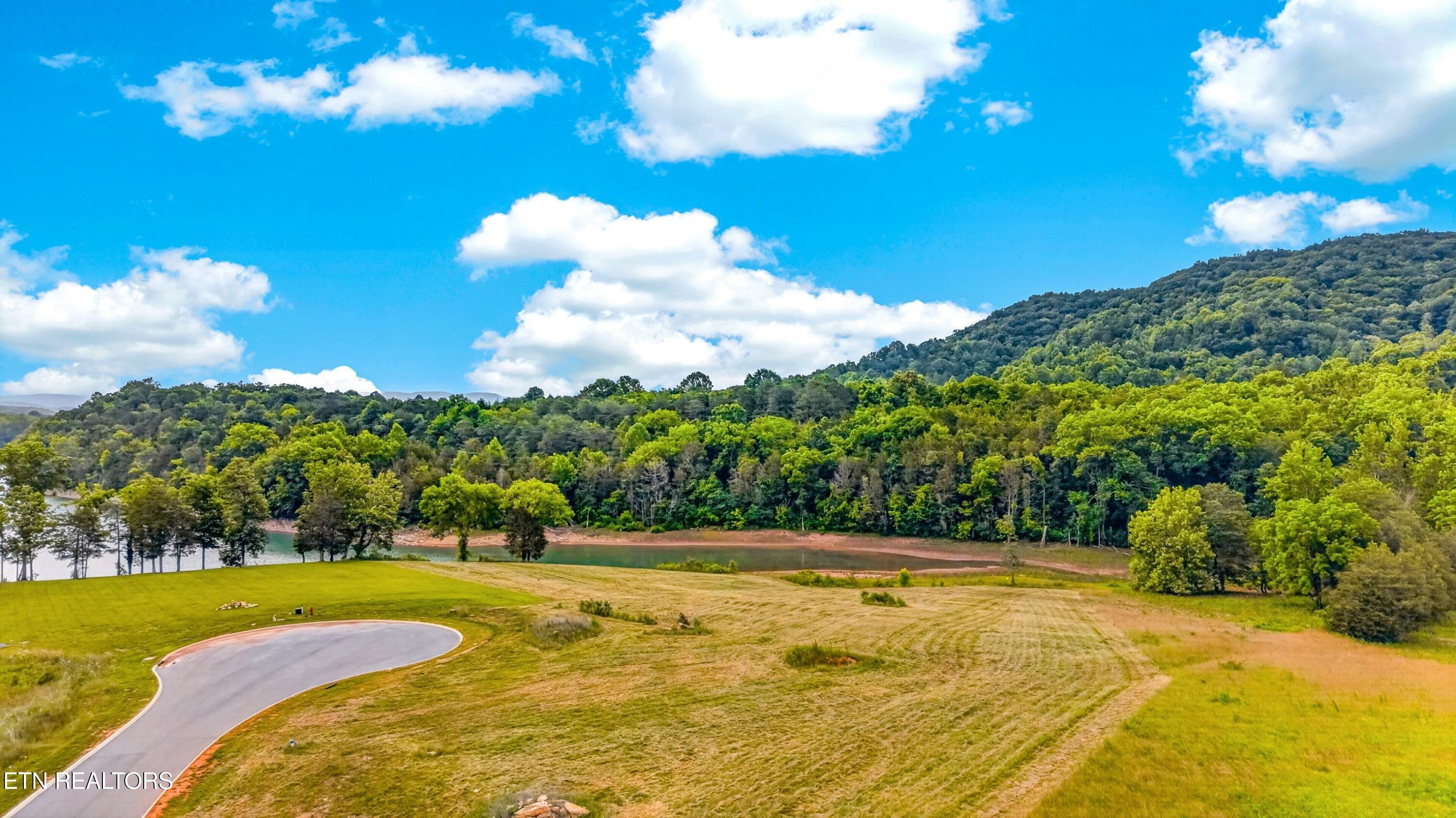 Norris Lake Real Estate - Image# 20