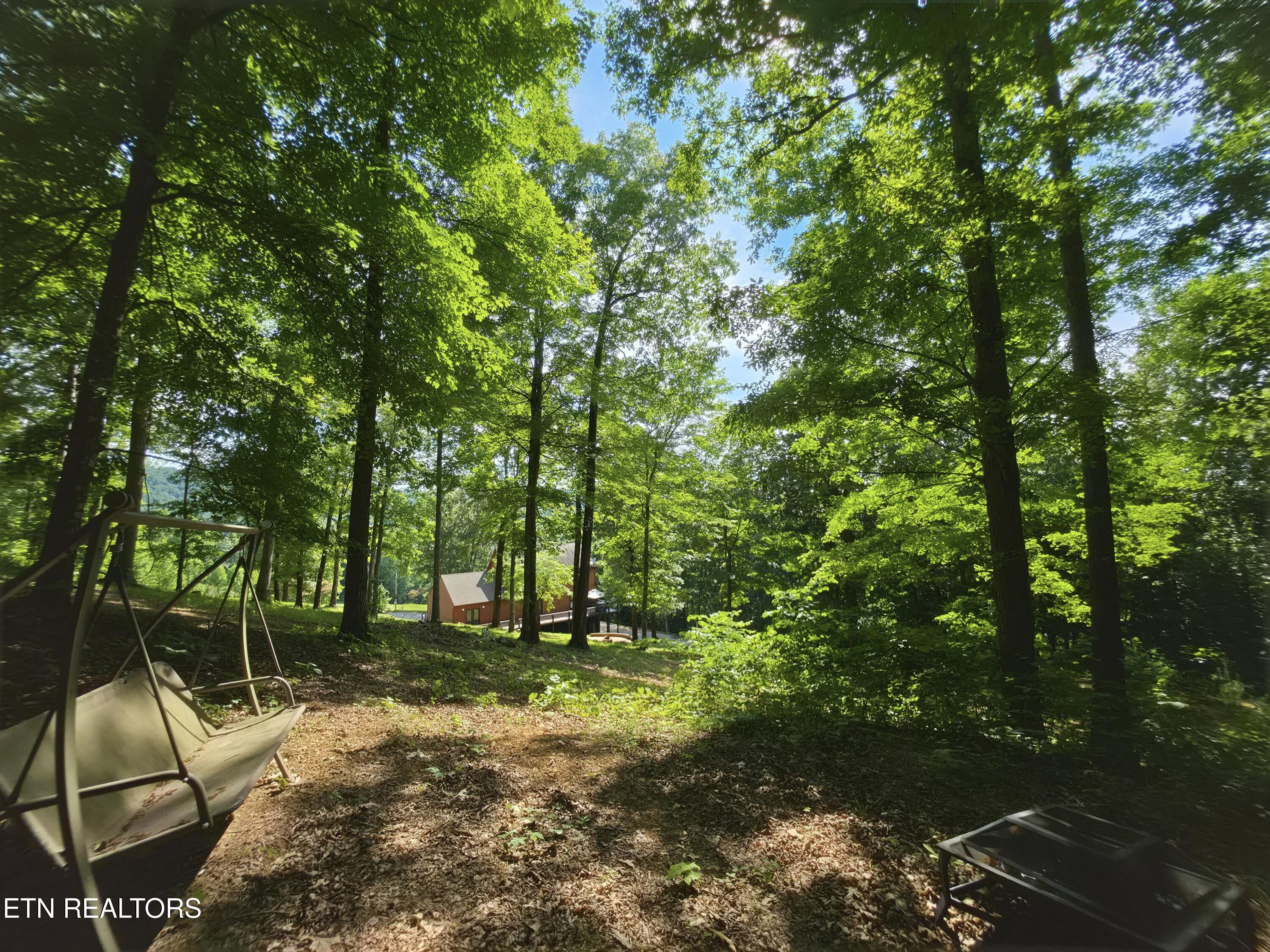 103 Pinnacle Pointe Way, Sharps Chapel, TN - Norris Lake Real Estate - Image# 48