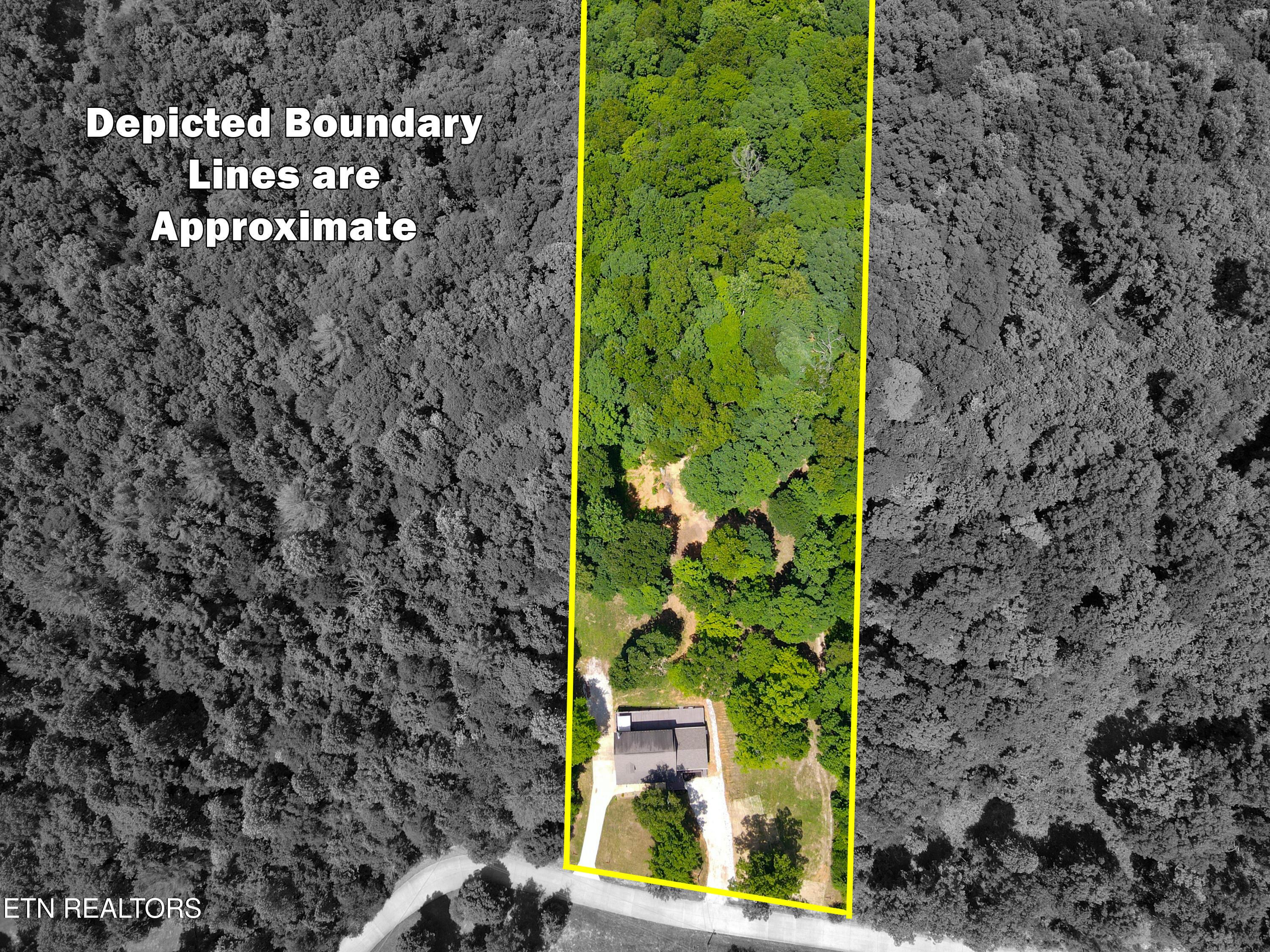 103 Pinnacle Pointe Way, Sharps Chapel, TN - Norris Lake Real Estate - Image# 4
