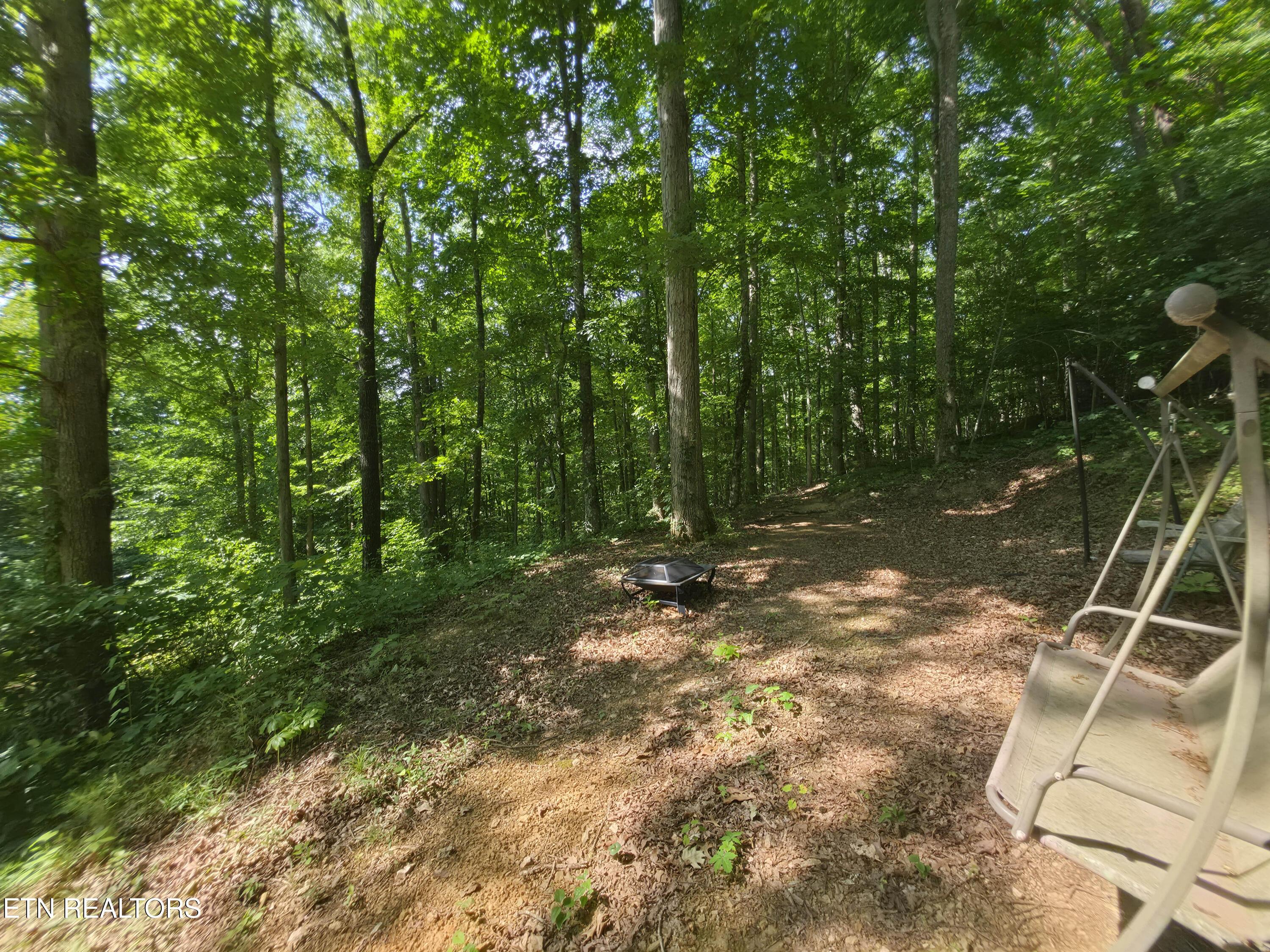 103 Pinnacle Pointe Way, Sharps Chapel, TN - Norris Lake Real Estate - Image# 49