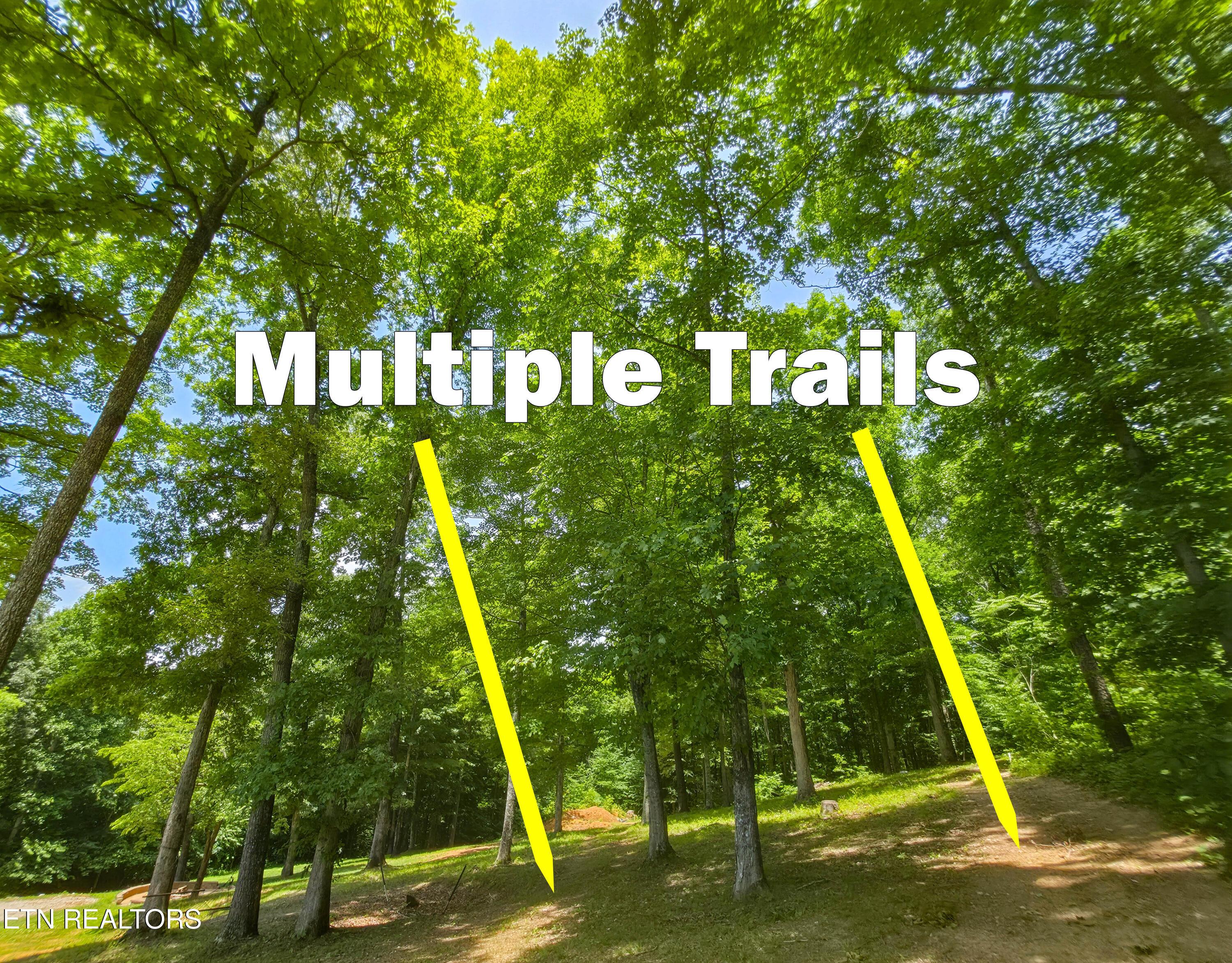 103 Pinnacle Pointe Way, Sharps Chapel, TN - Norris Lake Real Estate - Image# 47