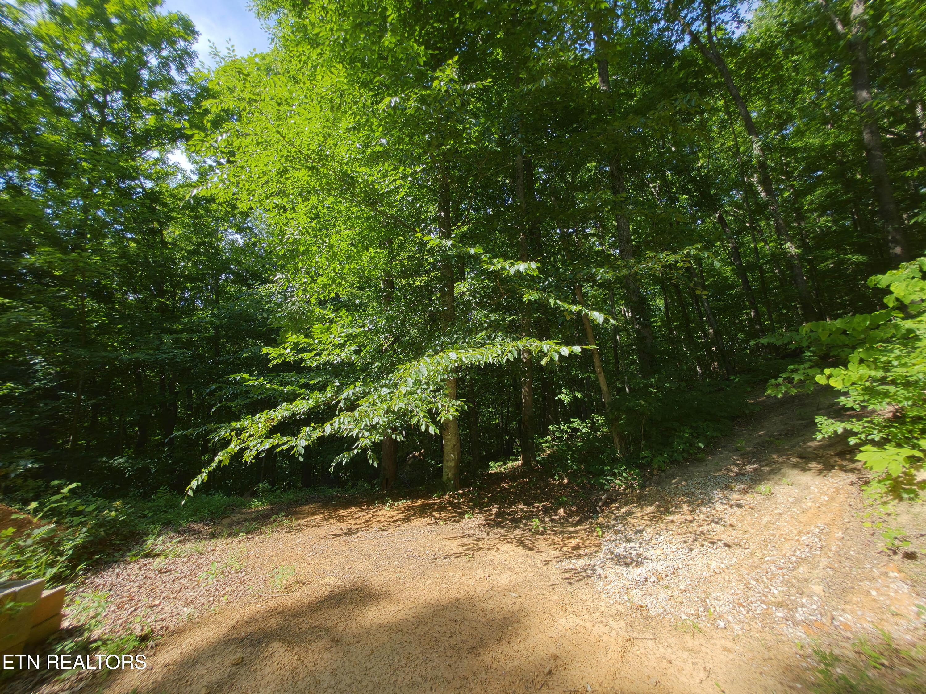 103 Pinnacle Pointe Way, Sharps Chapel, TN - Norris Lake Real Estate - Image# 50