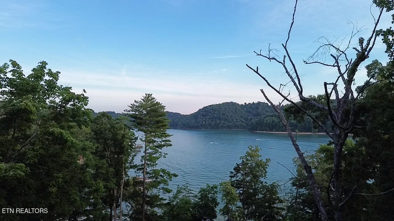 Norris Lake Real Estate - Image# 2