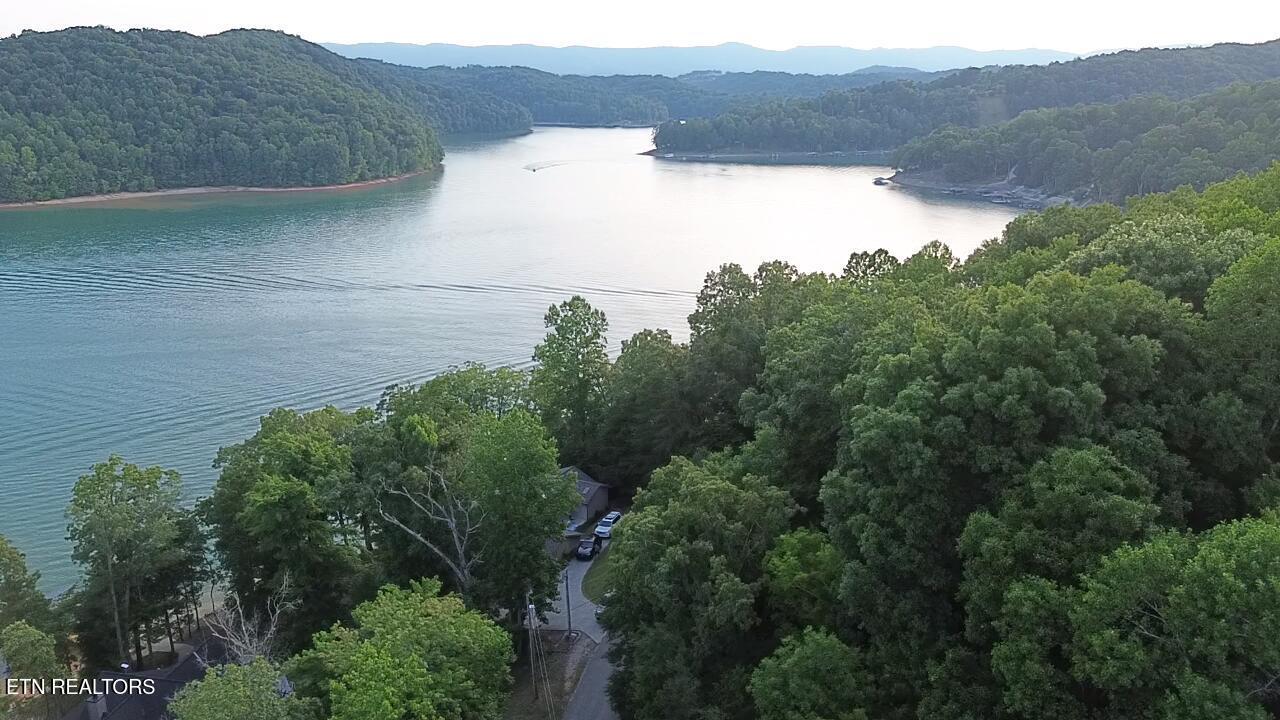 Norris Lake Real Estate - Image# 4