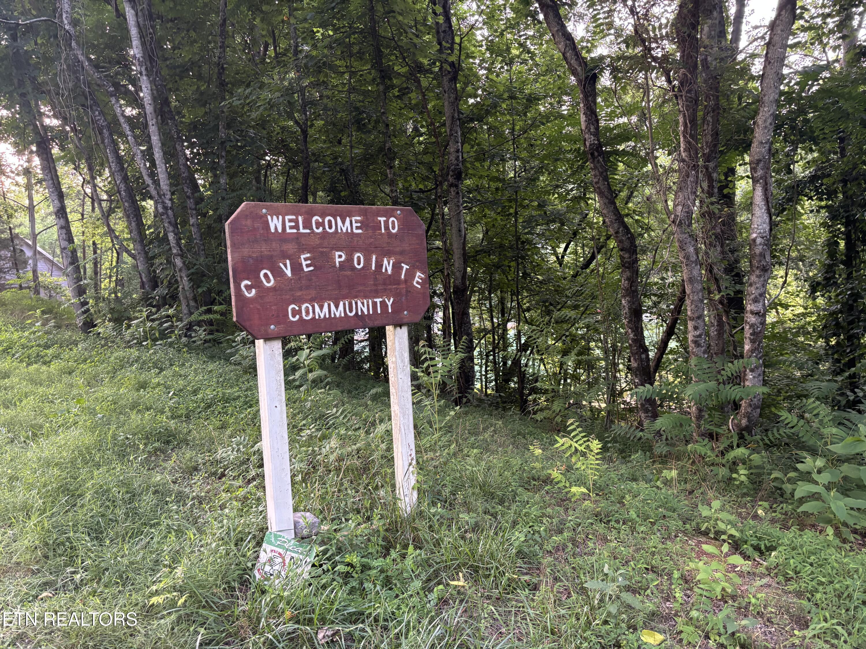 Norris Lake Real Estate - Image# 5