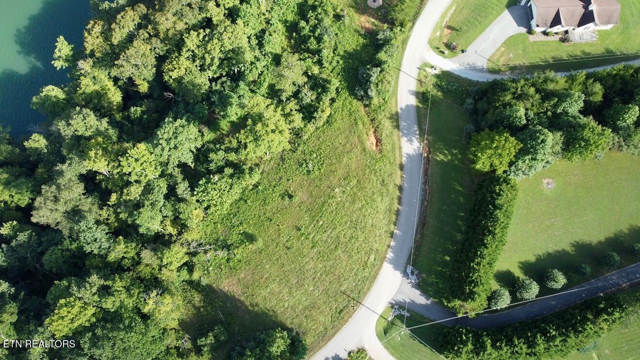 Norris Lake Real Estate - Image# 3