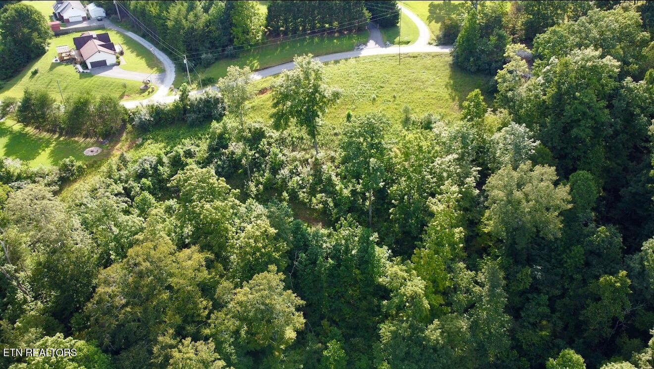 Norris Lake Real Estate - Image# 4