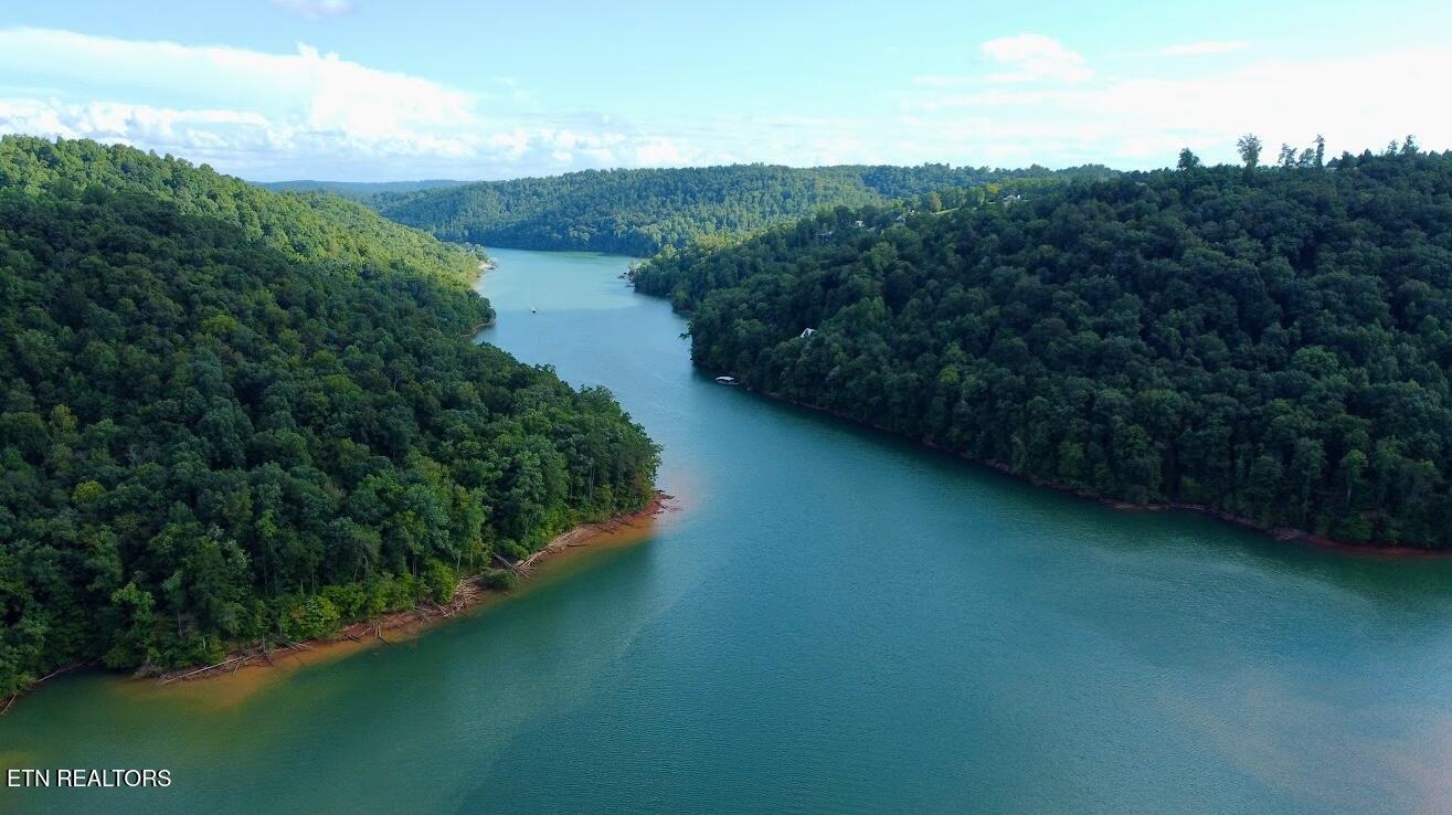 Norris Lake Real Estate - Image# 5