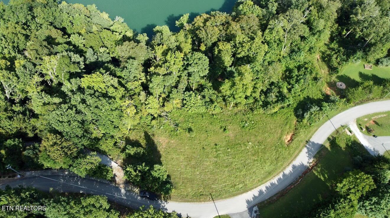 Norris Lake Real Estate - Image# 6