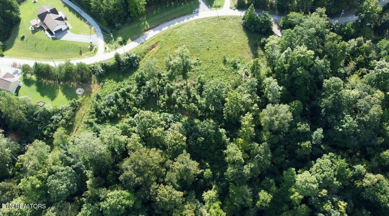 Norris Lake Real Estate - Image# 7