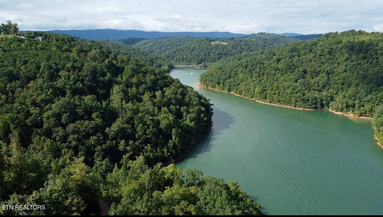 Norris Lake Real Estate - Image# 9