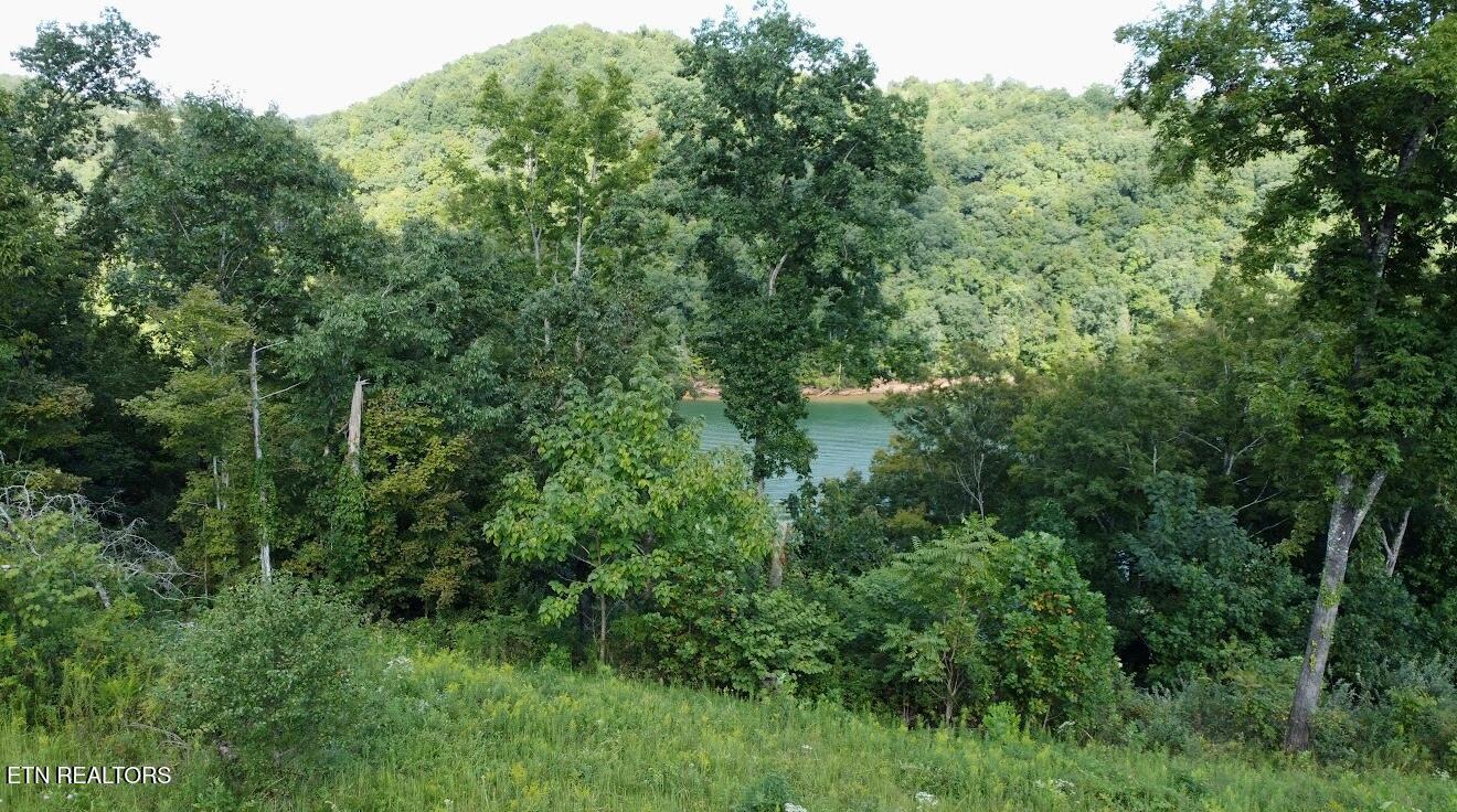 Norris Lake Real Estate - Image# 10