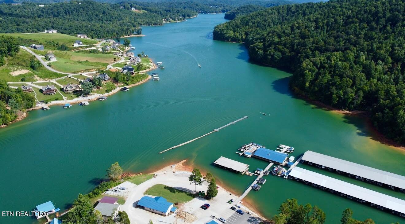 Norris Lake Real Estate - Image# 12