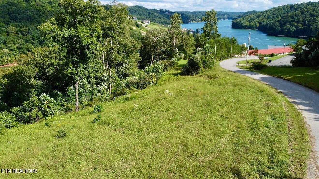 Norris Lake Real Estate - Image# 13
