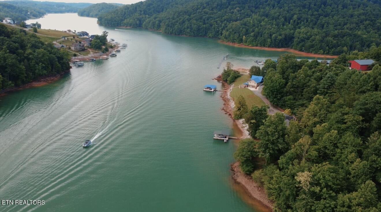 Norris Lake Real Estate - Image# 14