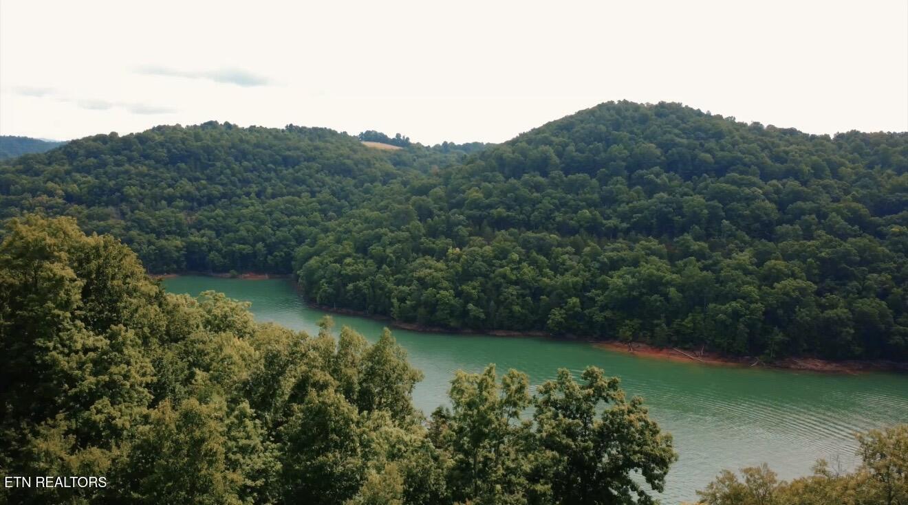 Norris Lake Real Estate - Image# 15