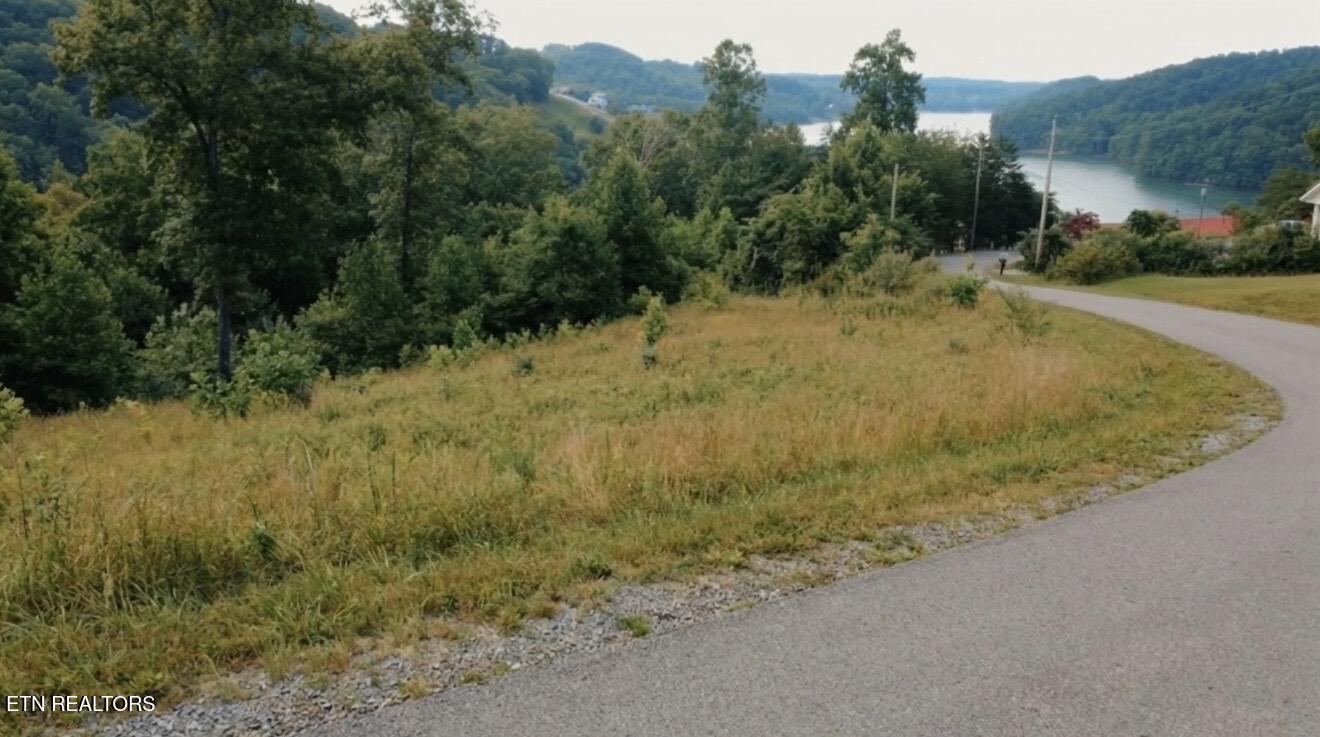 Norris Lake Real Estate - Image# 16