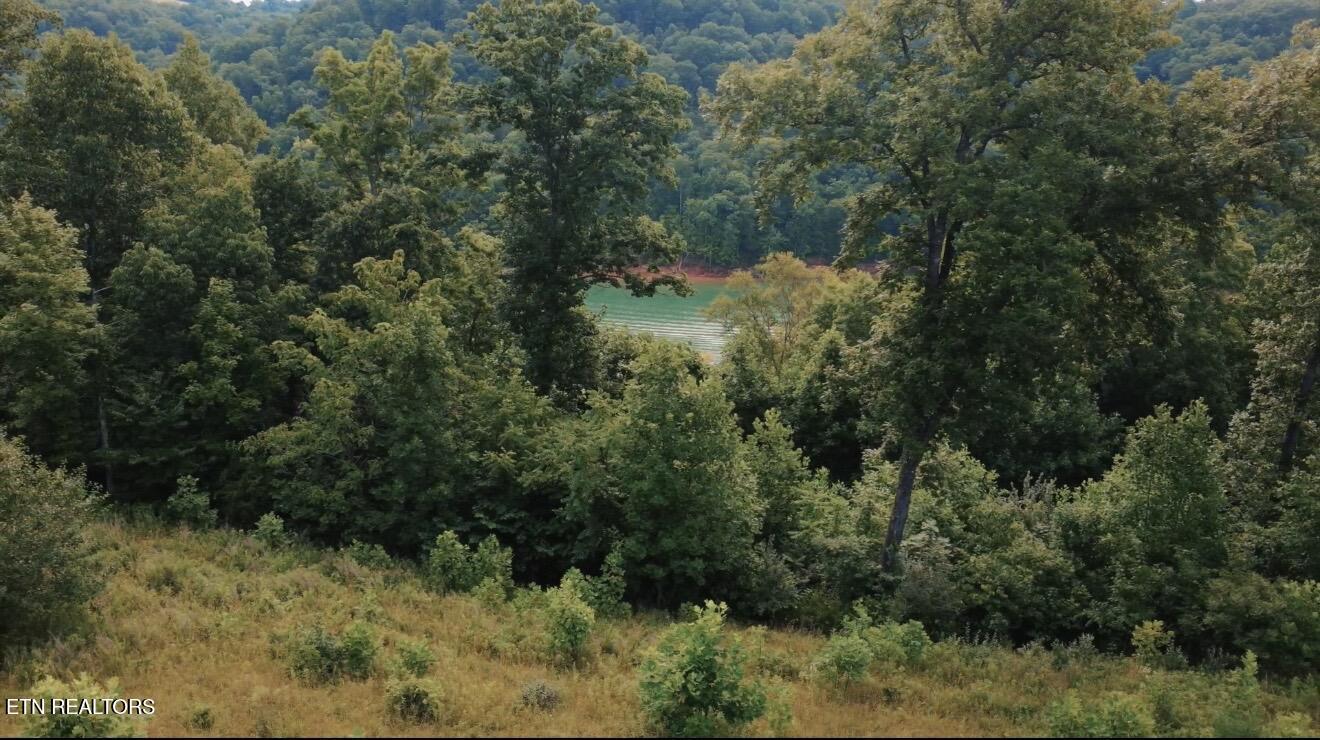Norris Lake Real Estate - Image# 17