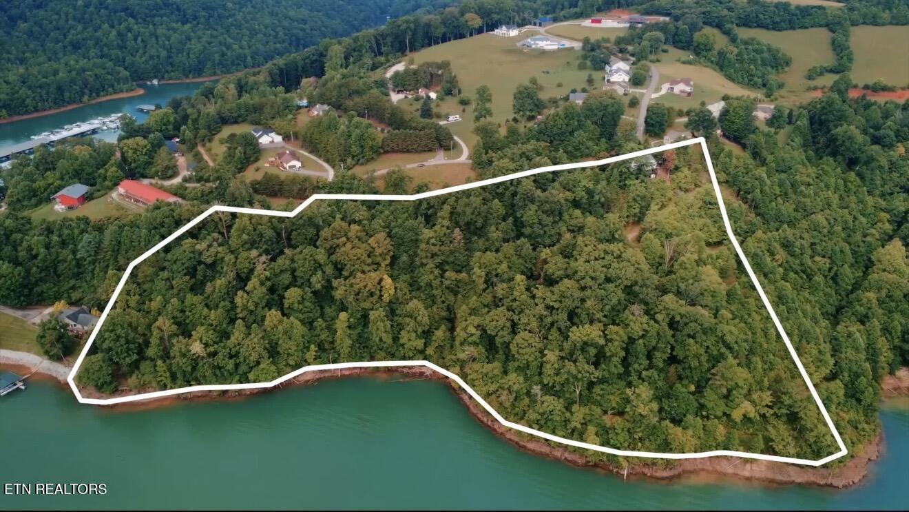 Norris Lake Real Estate - Image# 1