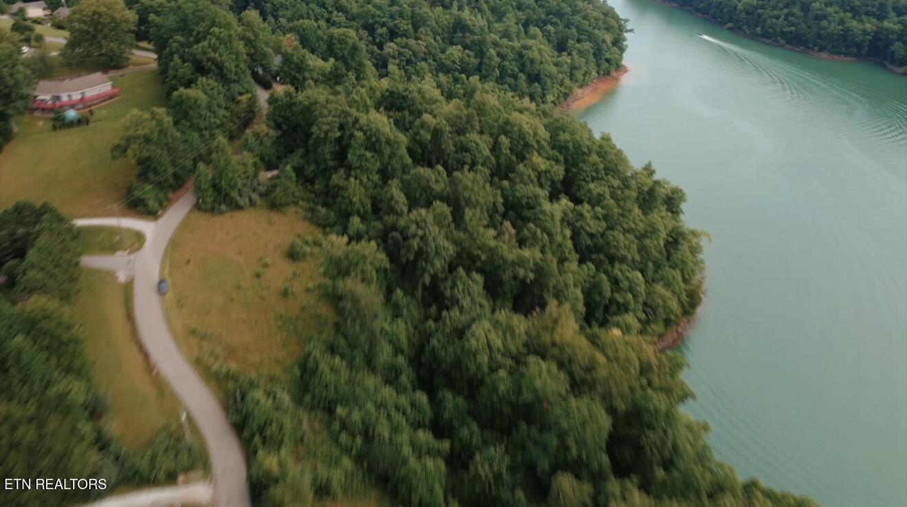 Norris Lake Real Estate - Image# 19