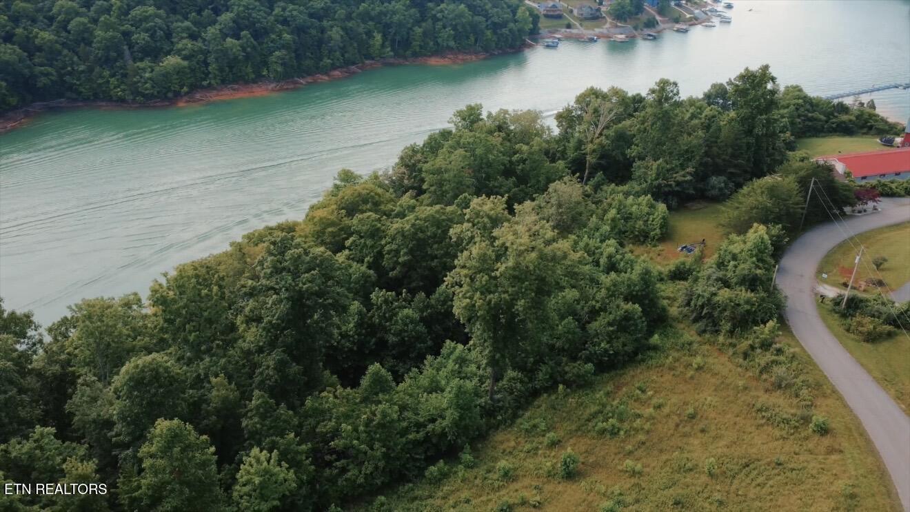 Norris Lake Real Estate - Image# 20