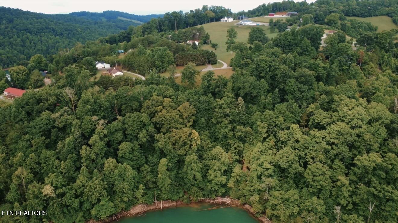Norris Lake Real Estate - Image# 21
