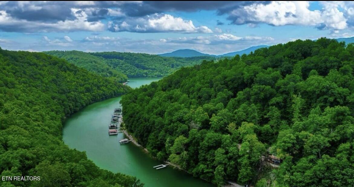 Norris Lake Real Estate - Image# 1