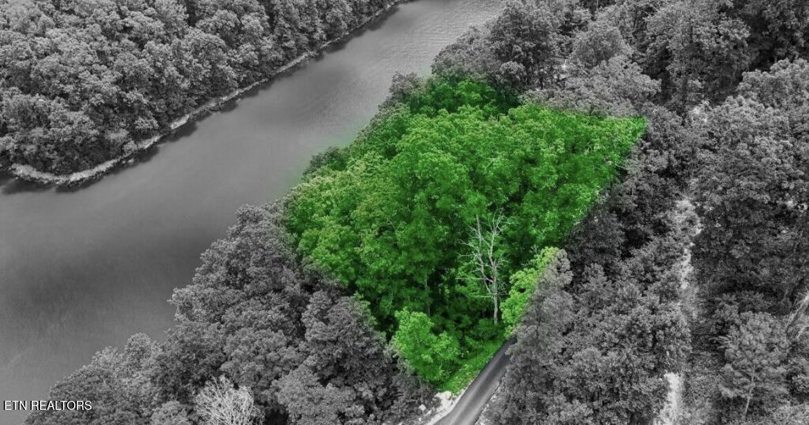 Norris Lake Real Estate - Image# 2