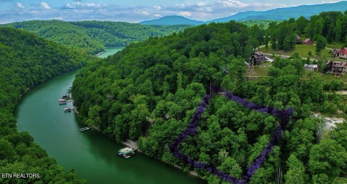 Norris Lake Real Estate - Image# 3