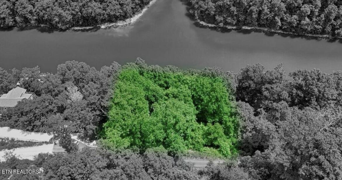 Norris Lake Real Estate - Image# 4