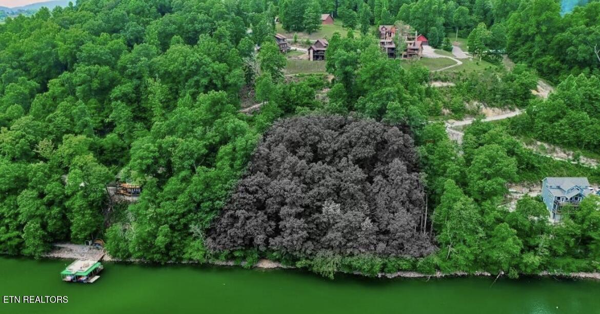 Norris Lake Real Estate - Image# 5