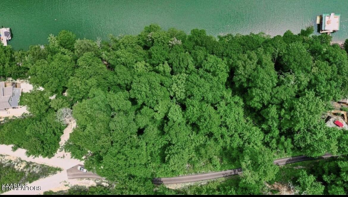 Norris Lake Real Estate - Image# 6