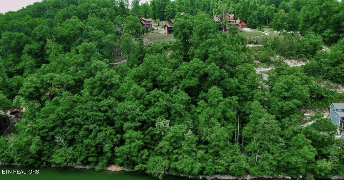 Norris Lake Real Estate - Image# 7