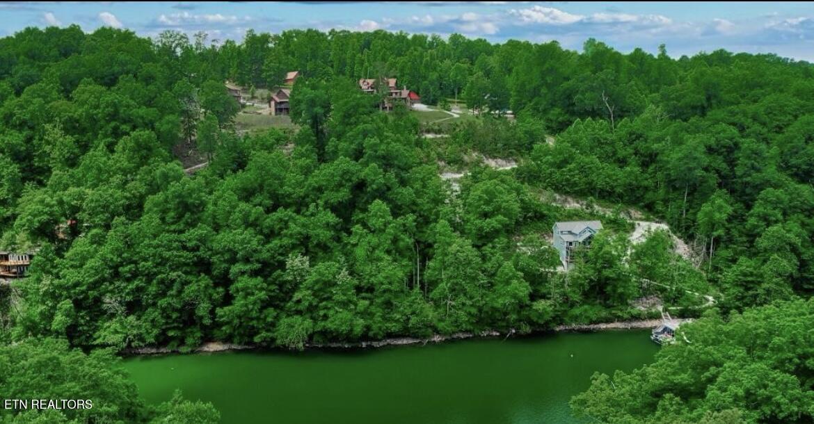 Norris Lake Real Estate - Image# 8