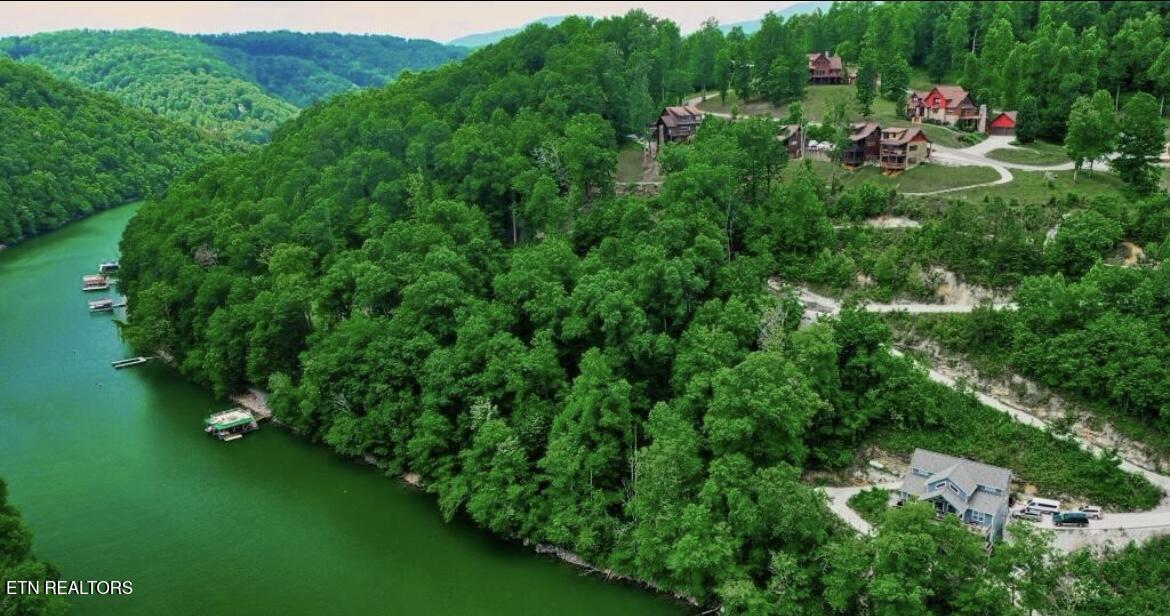 Norris Lake Real Estate - Image# 9