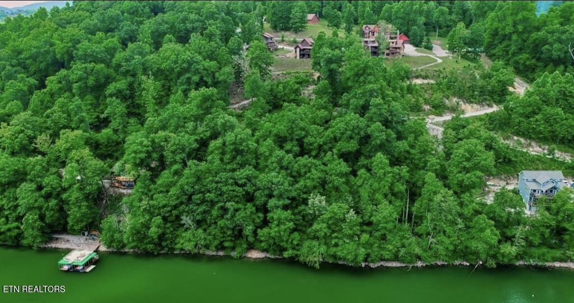 Norris Lake Real Estate - Image# 10