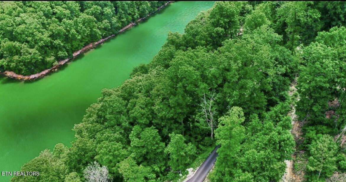 Norris Lake Real Estate - Image# 11