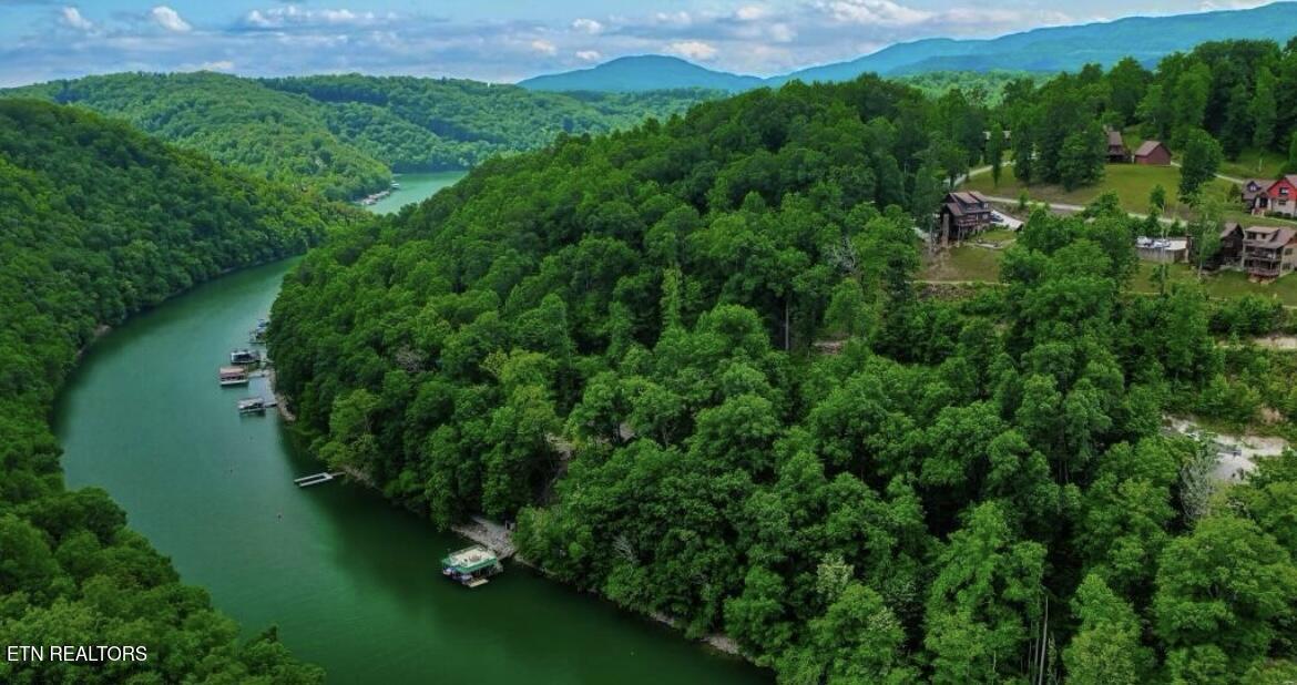 Norris Lake Real Estate - Image# 12