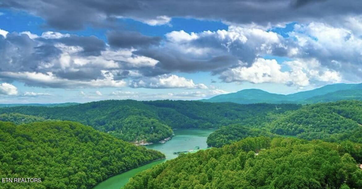 Norris Lake Real Estate - Image# 13